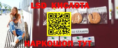 крисы Магадан