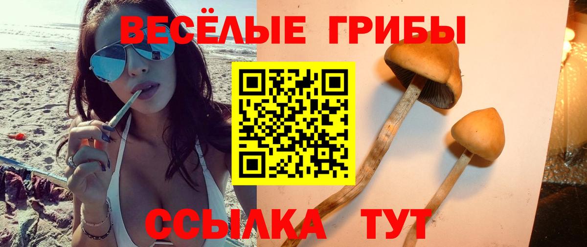 Галлюциногенные грибы Cubensis  Галлюциногенные грибы MAGIC MUSHROOMS  Тавда  Вход с VPN 
