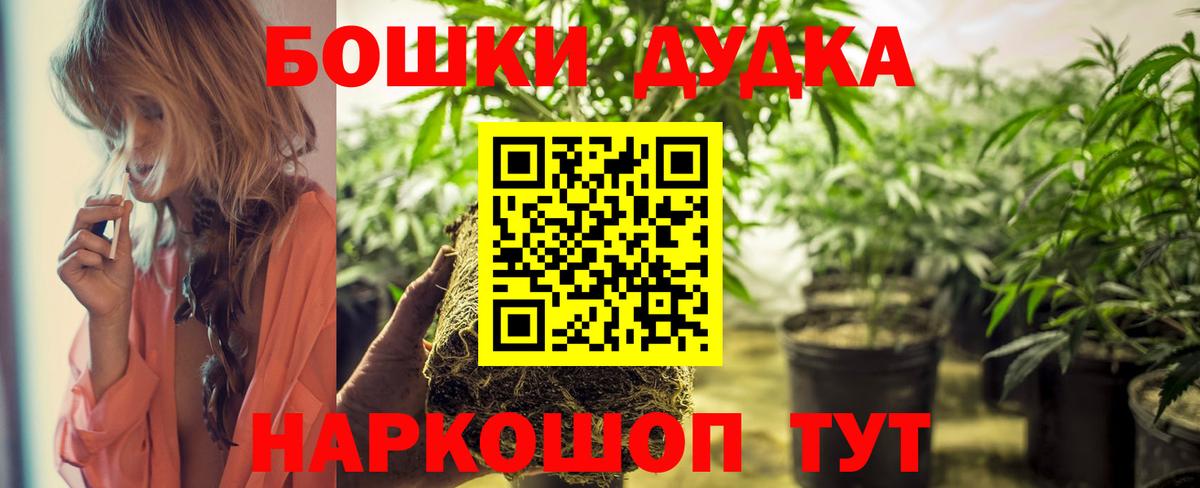 Шишки марихуана Amnesia  Марихуана ГИДРОПОН  Тавда  Канабис тримм 